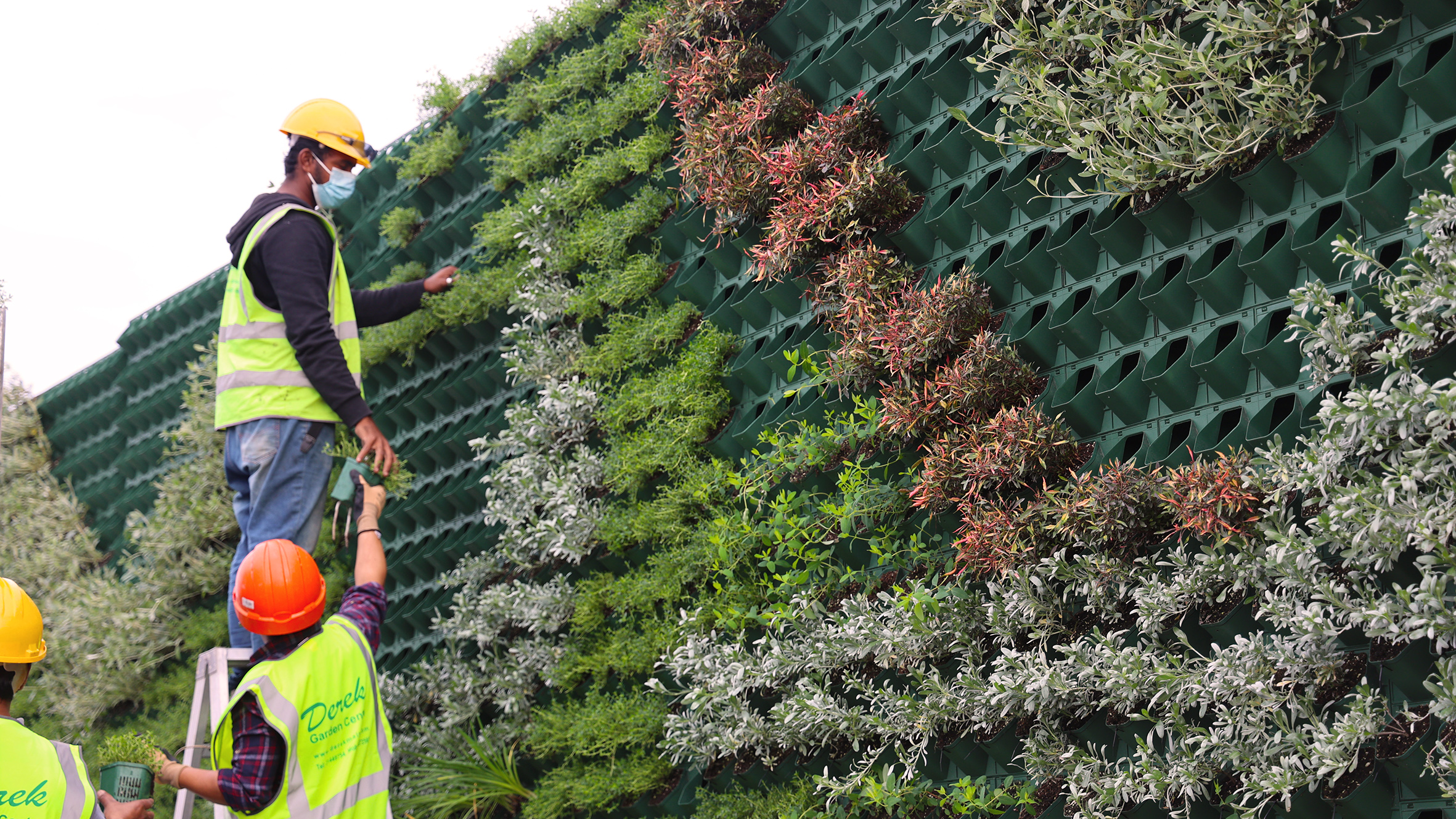27,600 plants for longest green wall in Malta Infastructure Malta